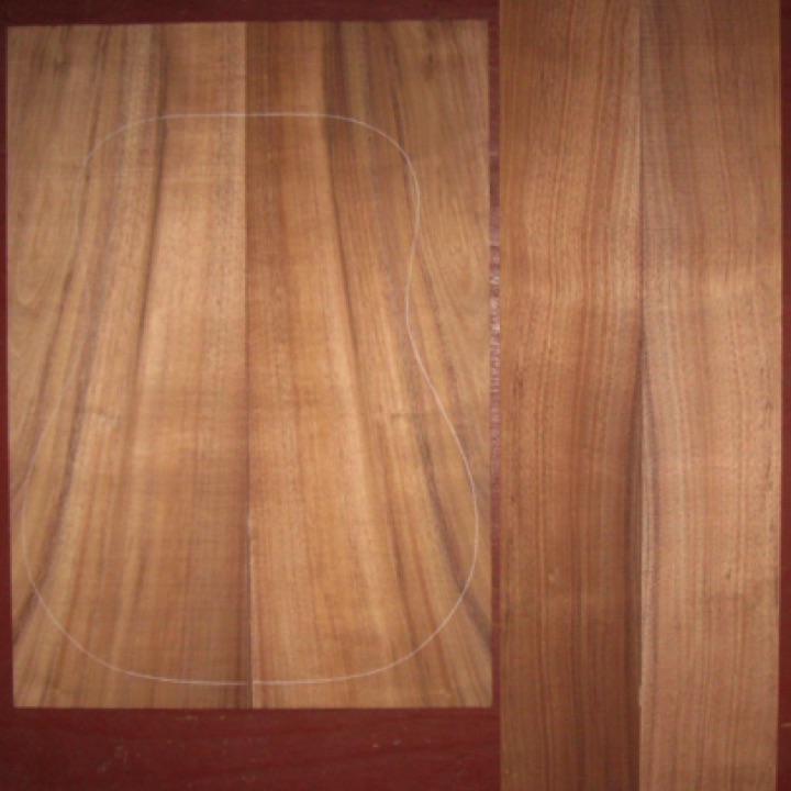 Koa OM/Dreadnought AA $100
(2) back plates 8-1/2" x 24-1/2"
(2) side plates 5" x 33-3/4"
Air dried since 2015, 16" D pattern shown, vertical grain
w/stripes, bright color.
set #205-1910 Koa OM/Dreadnought AA $100
(2) back plates 8-1/2" x 24-1/2"
(2) side plates 5" x 33-3/4"
Air dried since 2015, 16" D pattern shown, vertical grain
w/stripes, bright color.
set #205-1910