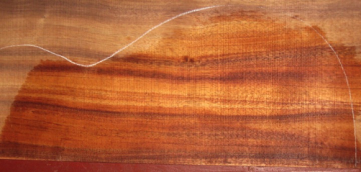 closeup, wetted
set #161-2051
Cosmetic tight knot on sides and back plates (circled). No attention required during finishing. closeup, wetted
set #161-2051
Cosmetic tight knot on sides and back plates (circled). No attention required during finishing.
