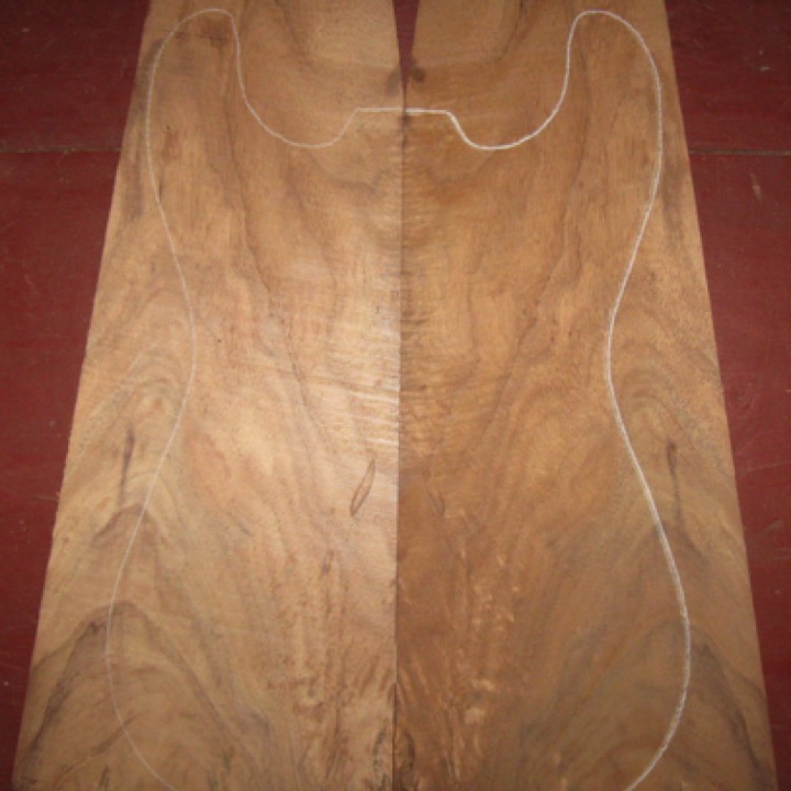 Koa Electric Top AA $50
(2) top plates 8-1/2" x 21" (tapers to 5" wide)
Air-dried since 2006, wild flamed figure with curl along center joint; 13" x 18-1/2" electric pattern shown.
set #136-1875 Koa Electric Top AA $50
(2) top plates 8-1/2" x 21" (tapers to 5" wide)
Air-dried since 2006, wild flamed figure with curl along center joint; 13" x 18-1/2" electric pattern shown.
set #136-1875