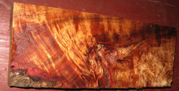 Curly koa $50 + $7.65 shipping
12" x 4-3/4", planed to 1-7/8" thickness.
Wild and crazy figure. Air dried since 2006.
face #1 - board #136-1599 Curly koa $50 + $7.65 shipping
12" x 4-3/4", planed to 1-7/8" thickness.
Wild and crazy figure. Air dried since 2006.
face #1 - board #136-1599